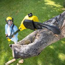 Best Organic Lawn Care Solutions  in Annapolis Neck, MD